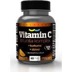 Vitamina C 500 mg SALUTEM Immune Complex 1×60 tbl, compresse per aspirazione Vitamina C 500 mg SALUTEM Immune Complex 1×60 tbl, compresse per aspirazione