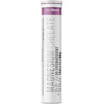 Gymbeam magnesiumchelaat + b6 20tbl oranje 20 tabletten oranje Gymbeam magnesiumchelaat + b6 20tbl oranje 20 tabletten oranje