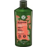 Regenerating shampoo Yves Rocher 1×300 ml shampoo