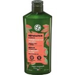 Regenerating shampoo Yves Rocher 1×300 ml shampoo Regenerating shampoo Yves Rocher 1×300 ml shampoo
