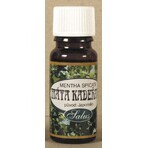 SALOOS 100% natural peppermint essential oil 1×10 ml oil SALOOS 100% natural peppermint essential oil 1×10 ml oil