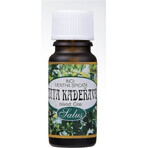 SALOOS 100% natural peppermint essential oil 1×10 ml oil SALOOS 100% natural peppermint essential oil 1×10 ml oil