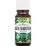 SALOOS 100% natural peppermint essential oil 1×10 ml oil SALOOS 100% natural peppermint essential oil 1×10 ml oil