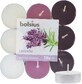 Bolsius Tea 18pcs Lavender tricolour, bougies parfum&#233;es 1&#215;18 pcs, bougies parfum&#233;es