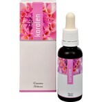 KOROLEN GTT 30ML 1×30 ml, preparazione alternativa KOROLEN GTT 30ML 1×30 ml, preparazione alternativa