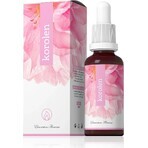 KOROLEN GTT 30ML 1×30 ml, preparazione alternativa KOROLEN GTT 30ML 1×30 ml, preparazione alternativa