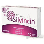 SILVINCINA 1×30 cps, complemento alimenticio SILVINCINA 1×30 cps, complemento alimenticio