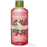 Yves Rocher Raspberry & Mint Shower Gel 1×400 ml, shower gel