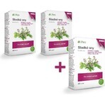 LIFTEA Angenehme Schrauben tbl 1x30 Stück LIFTEA Angenehme Schrauben tbl 1x30 Stück