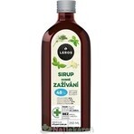 LEROS SIRUP BUENA DIGESTIÓN 1×250 ml, jarabe para apoyar la digestión