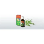 Health Link EUKY BEAR 1×50 ml, aceite de eucalipto