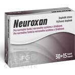 NEUROXAN - FG Pharma 1×45 cps NEUROXAN - FG Pharma 1×45 cps