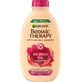 Garnier BOTANIC THERAPY RICINUS OIL SHAMPOO 1×450 ml, shampoo