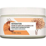 Yves Rocher Regenerating Body Butter 1×250 ml, body butter