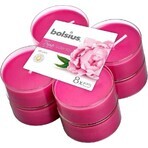 Bolsius Aromatic 2.0 Tea Maxi 8st Peony, geurkaarsen 1×8 st, geurkaarsen
