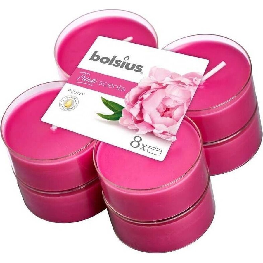 Winkel op Bolsius Aromatic 2.0 Tea Maxi 8st Peony, geurkaarsen 1×8 st, geurkaarsen Bolsius Aromatic 2.0 Tea Maxi 8st Peony, geurkaarsen 1×8 st, geurkaarsen