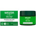 Skin Food nourishing day cream 40ml 1×40 ml, day cream