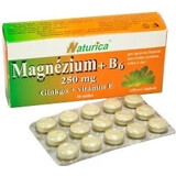 Naturica MAGNEZIUM 250 mg+B6+Ginkgo+vitamine E 1×30 tbl, voedingssupplement