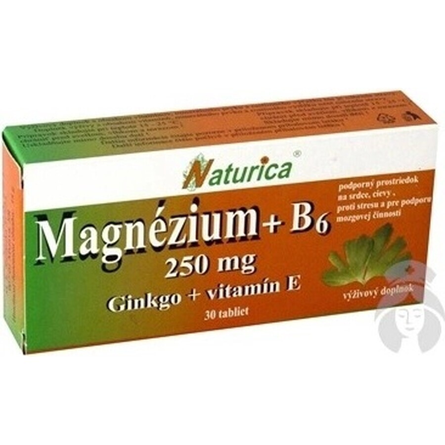 Naturica MAGNEZIUM 250 mg+B6+Ginkgo+vitamin E 1×30 tbl, food supplement