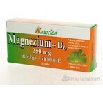 Naturica MAGNEZIUM 250 mg+B6+Ginkgo+vitamin E 1×30 tbl, food supplement