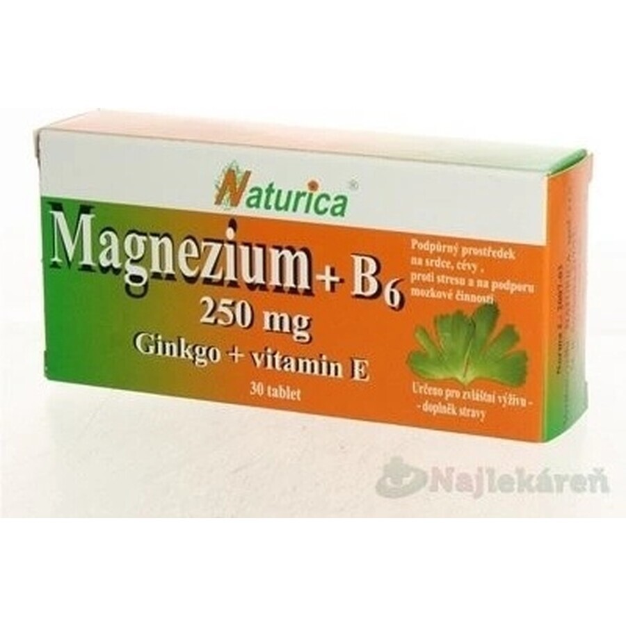 Naturica MAGNEZIUM 250 mg+B6+Ginkgo+vitamin E 1×30 tbl, food supplement