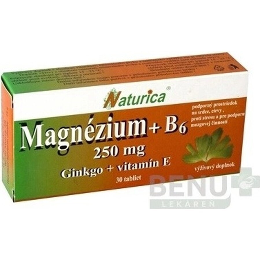 Naturica MAGNEZIUM 250 mg+B6+Ginkgo+vitamin E 1×30 tbl, food supplement