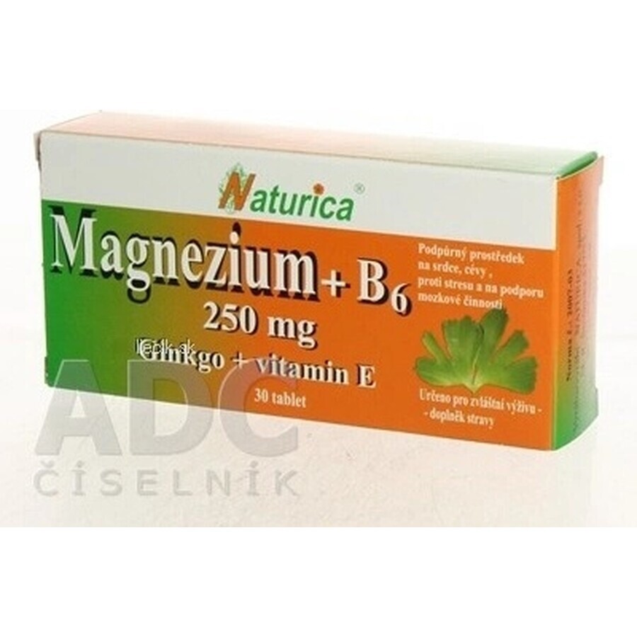 Naturica MAGNEZIUM 250 mg+B6+Ginkgo+vitamin E 1×30 tbl, food supplement