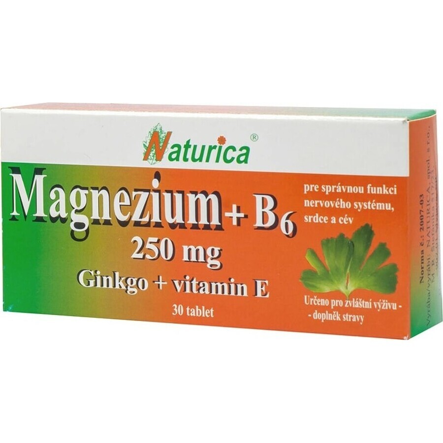 Naturica MAGNEZIUM 250 mg+B6+Ginkgo+vitamin E 1×30 tbl, food supplement
