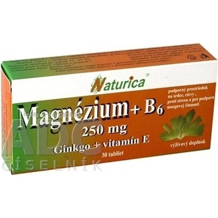 Naturica MAGNEZIUM 250 mg+B6+Ginkgo+vitamin E 1×30 tbl, food supplement