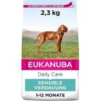 PET HEALTH CARE FYTO PIPETA 3×10 ml, repellent