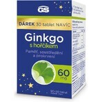 GS Ginkgo 60 mg met magnesium 1×120 tbl, voedingssupplement GS Ginkgo 60 mg met magnesium 1×120 tbl, voedingssupplement