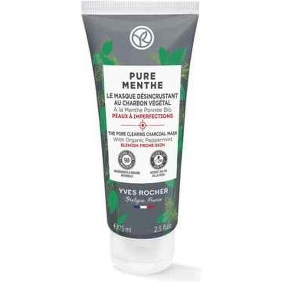 Yves Rocher Pm Activated Charcoal Cleansing Mask 1×75 ml, Aktivkohle-Reinigungsmaske für die Haut