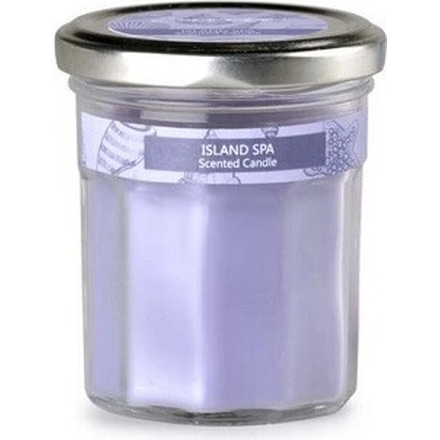 Acquista Emocio Bottiglia in vetro viola con coperchio in metallo Candela profumata Island Spa 1×1 pz, dimensioni 69 x 85 mm Emocio Bottiglia in vetro viola con coperchio in metallo Candela profumata Island Spa 1×1 pz, dimensioni 69 x 85 mm