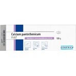 GENERICA Calcium pantothenicum pomada 1×100 g, emoliente con aceite de almendras extra GENERICA Calcium pantothenicum pomada 1×100 g, emoliente con aceite de almendras extra