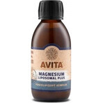 AVITA MAGNESIO LIPOSOMAL PLUS 1×200 ml, complemento alimenticio AVITA MAGNESIO LIPOSOMAL PLUS 1×200 ml, complemento alimenticio