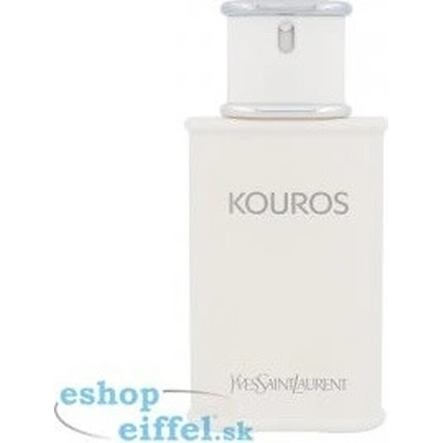 Yves Saint Laurent Kouros Kouros Edt 100ml 1×100 ml, eau de toilette Yves Saint Laurent Kouros Kouros Edt 100ml 1×100 ml, eau de toilette