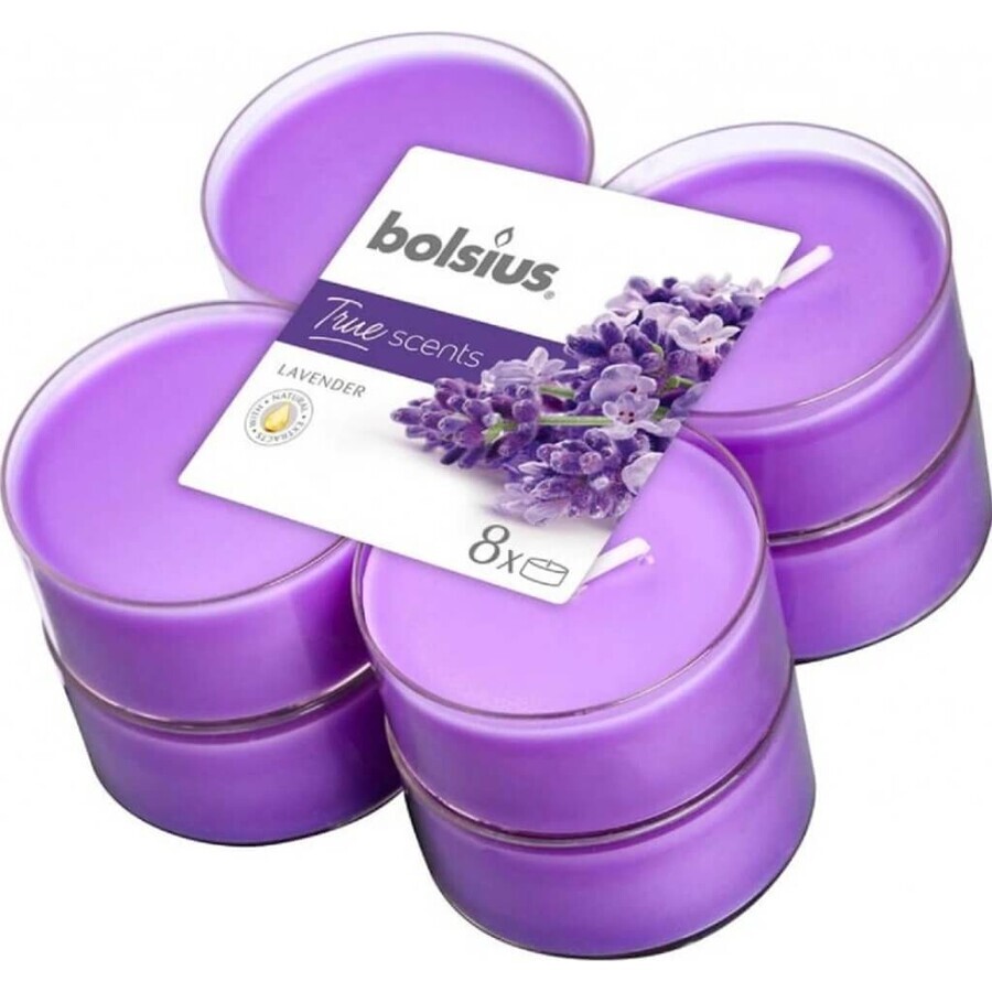 Bolsius Aromatic 2.0 Maxi Tea 8 pièces Lavande, bougie parfumée 1×8 pièces, bougie parfumée
