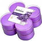 Bolsius Aromatic 2.0 Maxi Tea 8 pièces Lavande, bougie parfumée 1×8 pièces, bougie parfumée Bolsius Aromatic 2.0 Maxi Tea 8 pièces Lavande, bougie parfumée 1×8 pièces, bougie parfumée