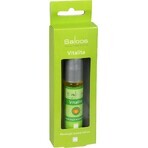 Saloos Aroma roll-on Vitalité - vivifiant 1×9 ml, roll-on