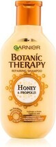 Garnier BOTANIC THERAPY HONEY SHAMPOO 1&#215;250 ml, shampoo