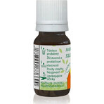Hanus Mandarijn etherische olie 1×10 ml, etherische oliën Hanus Mandarijn etherische olie 1×10 ml, etherische oliën