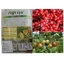 Agrise Bio, 100 g, Managis