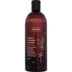 Ziaja - er Brennnessel Familie Shampoo für Schuppen Haar 1×500 ml