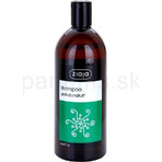 Ziaja - er Brennnessel Familie Shampoo für Schuppen Haar 1×500 ml