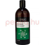 Ziaja - er Brennnessel Familie Shampoo für Schuppen Haar 1×500 ml