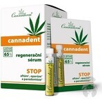 Cannaderm CANNADENT Regenerations-Serum 10×1,5 ml für Fieberbläschen und Lippenbläschen Cannaderm CANNADENT Regenerations-Serum 10×1,5 ml für Fieberbläschen und Lippenbläschen
