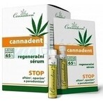 Cannaderm CANNADENT Regenerations-Serum 10×1,5 ml für Fieberbläschen und Lippenbläschen Cannaderm CANNADENT Regenerations-Serum 10×1,5 ml für Fieberbläschen und Lippenbläschen
