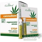 Cannaderm CANNADENT Regenerations-Serum 10×1,5 ml für Fieberbläschen und Lippenbläschen Cannaderm CANNADENT Regenerations-Serum 10×1,5 ml für Fieberbläschen und Lippenbläschen