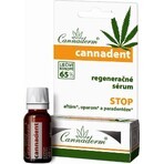 Cannaderm CANNADENT Regenerations-Serum 10×1,5 ml für Fieberbläschen und Lippenbläschen Cannaderm CANNADENT Regenerations-Serum 10×1,5 ml für Fieberbläschen und Lippenbläschen