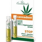 Cannaderm CANNADENT Regenerations-Serum 10×1,5 ml für Fieberbläschen und Lippenbläschen Cannaderm CANNADENT Regenerations-Serum 10×1,5 ml für Fieberbläschen und Lippenbläschen